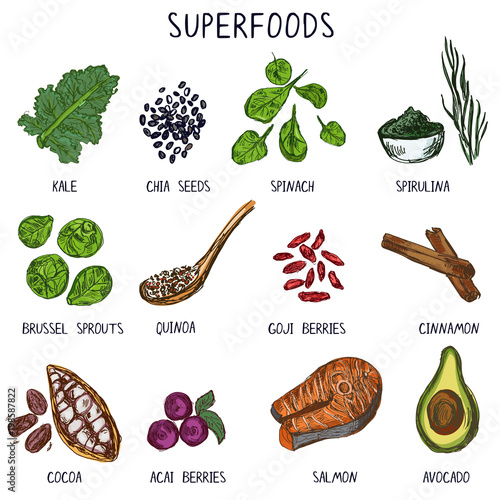 Hand drawn superfoods.