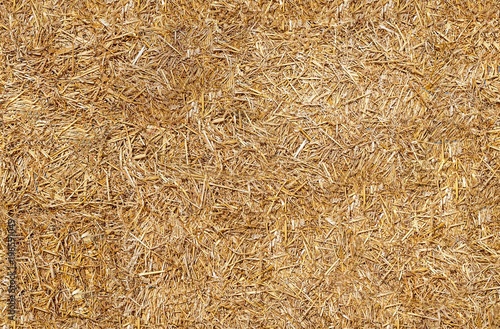 Seamless texture hay, straw photo