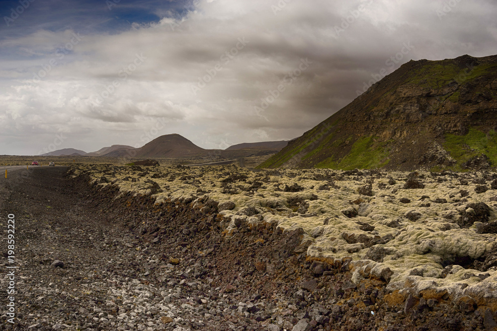 Naklejka premium Lava fields in Iceland