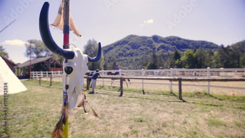 Carved Buffalo Skull at Western Riding Arena 4K
