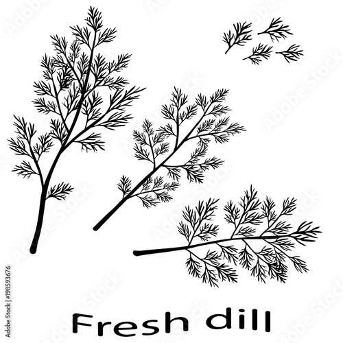 Black icon of fresh dill. Black silhouette dill close-up. Green vegetables.  Vector illustration.
