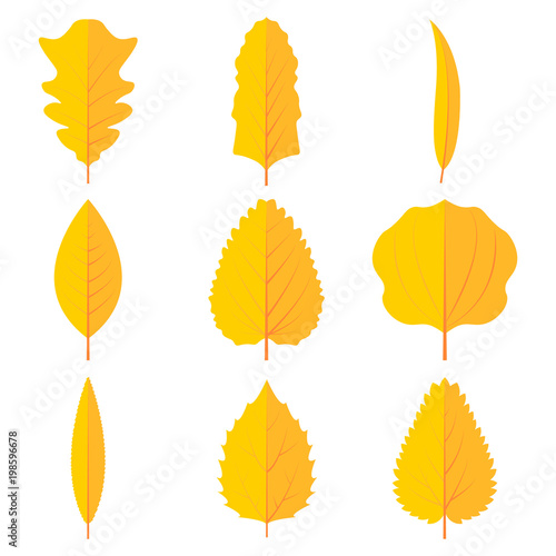 Autumn leaves set icon vector design illustration. Free royalty images.