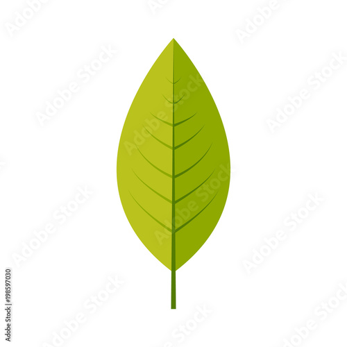 Lemon leaf icon vector design illustration. Free royalty images.