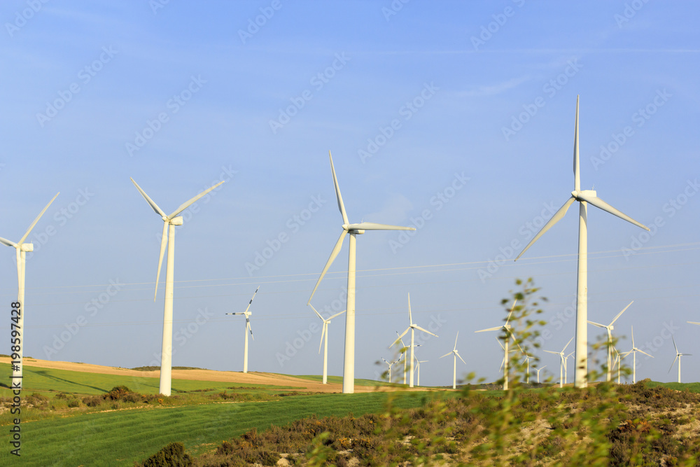 energía alternativa es el futuro energía alternativa es el futuro