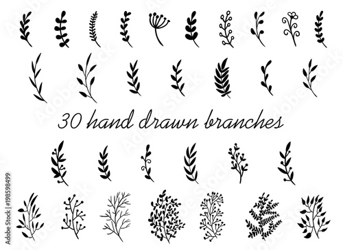 Hand drawn branches with leaves isolated on white background. Decorative floral elements for your design. Vintage vector