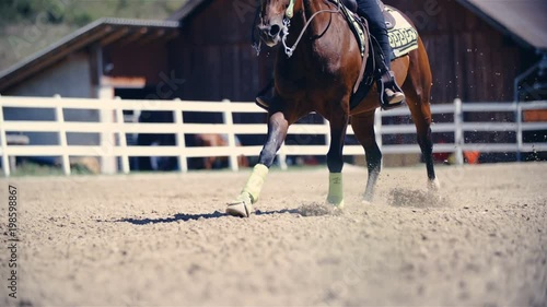 Horse stop in riding arena sand in slow motion 4K