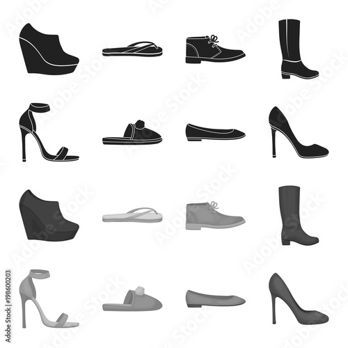 Blue high-heeled sandals, homemade lilac slippers with a pampon, pink women ballet flats, brown high-heeled shoes. Shoes set collection icons in black,monochrome style vector symbol stock illustration