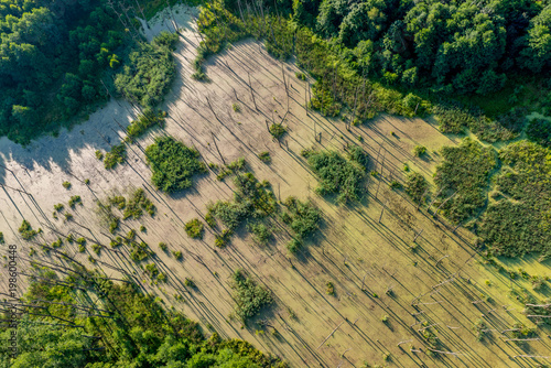obszar zniszczonego lasu przez bagno. widoczne uschnięte nieżywe drzewa, Napowietrzny widok z góry