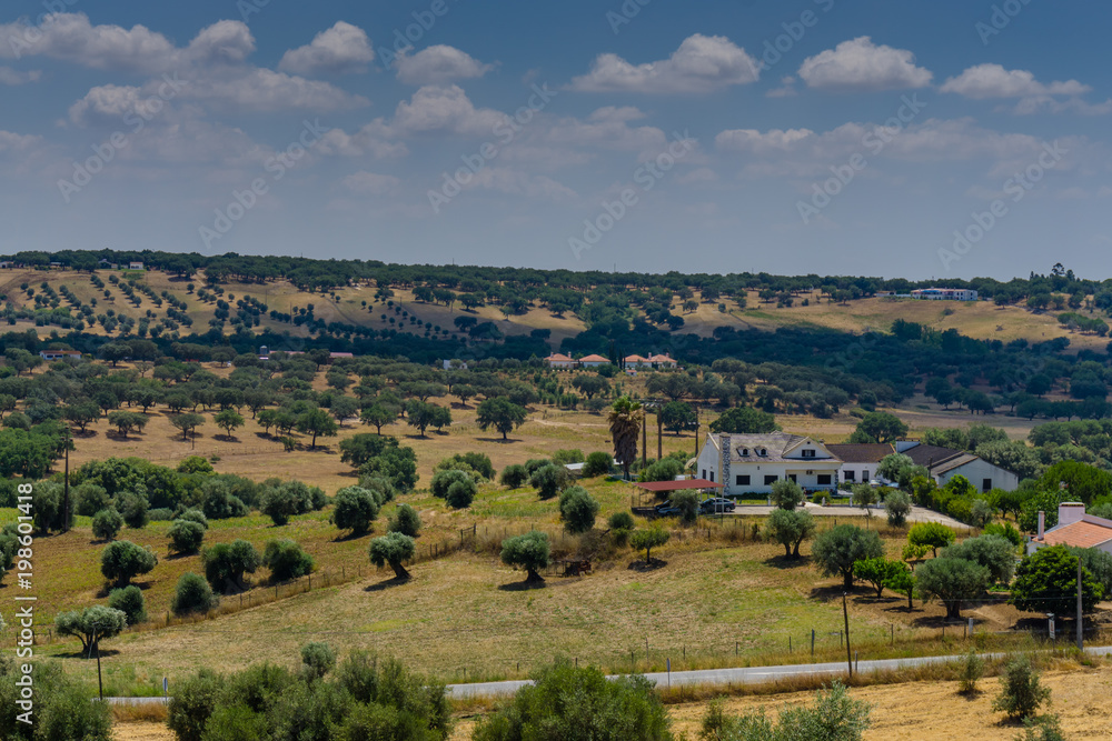 Fototapeta premium Typical autumn landscape in the Alentejo region, Portugal.