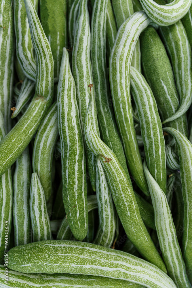close up view of pile of green cucumbers close up view of pile of green cucumbers