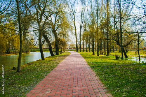 Path in Park 
