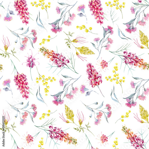 Wallpaper Mural Watercolor australian grevillea vector pattern Torontodigital.ca