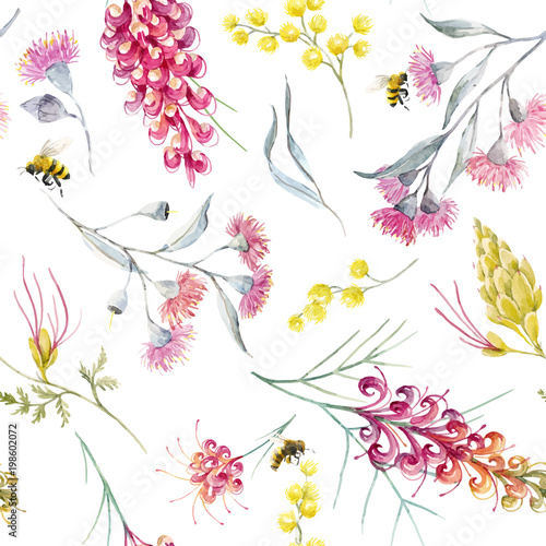 Watercolor australian grevillea vector pattern