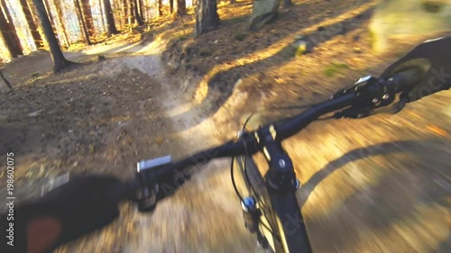 Speed riding an enduro mountain bike in orange autumn forest. Downhill ride in woods. View from first person perspective POV. Full HD gimbal stabilized video