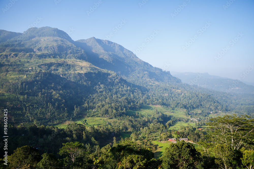 Fototapeta premium piękny widok na góry i błękitne niebo, sri lanka, nuwara eliya