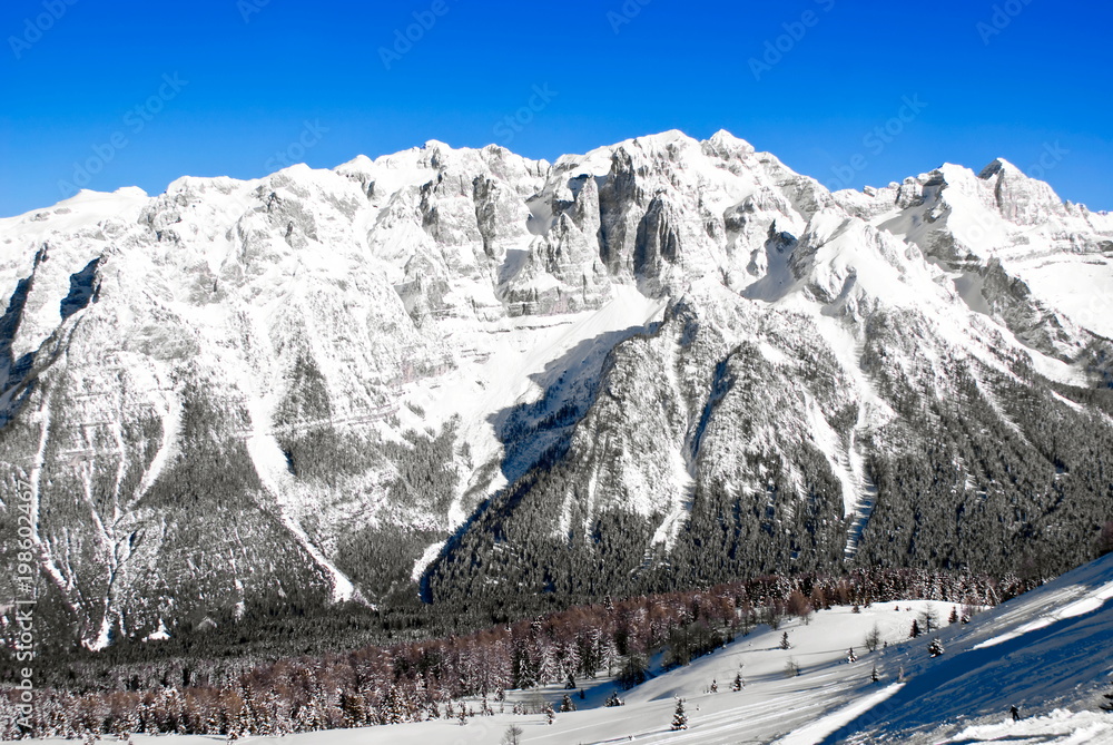 Alpine winter landscape