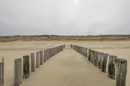 View to Timber Piles and Grass Dunes at Domburg   Netherlands