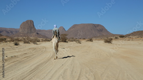 Algérie Parc de l Ahaggar Touareg sur son dromadaire