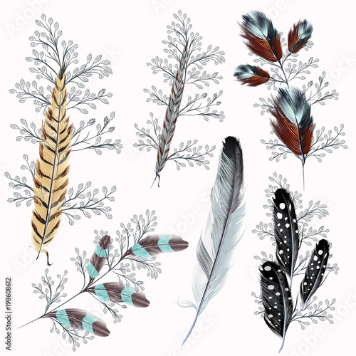 Collection of boho feathers for design