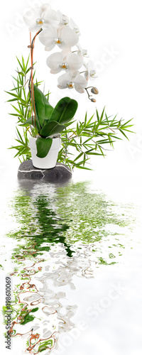 Fototapeta Naklejka Na Ścianę i Meble -   bambou, orchidée sur galet avec reflets 