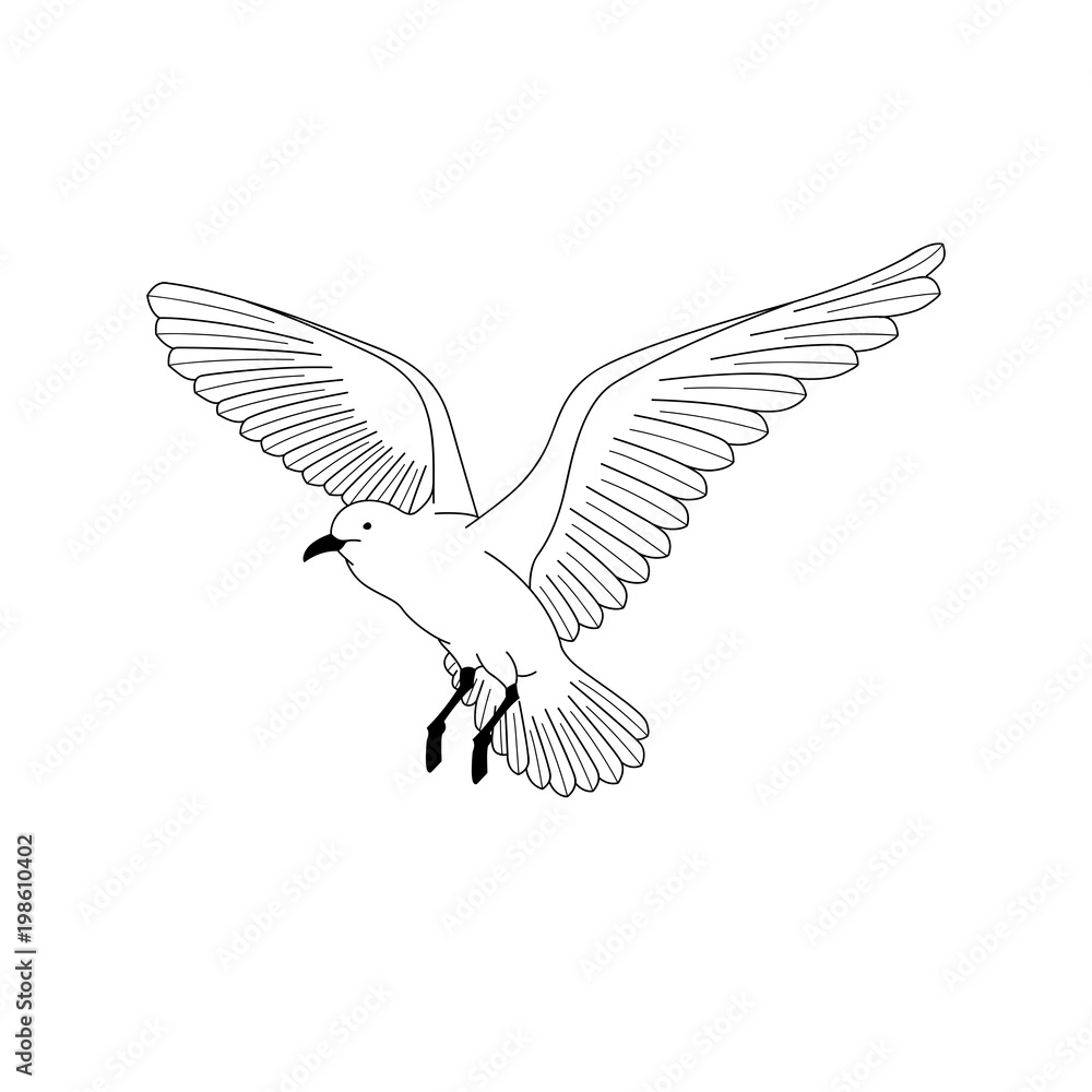 bird flying. illustration vector. hand drawing line art of animal. bird  isolated line on white background. symbol of freedom. tattoo design. Stock  Vector | Adobe Stock