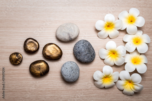 Frangipani flowers on white background. Concept for spa background