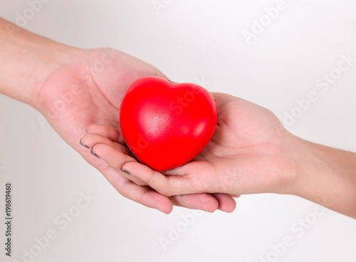 Heart in hands of couple love. Isolated on white background. Studio lighting.
