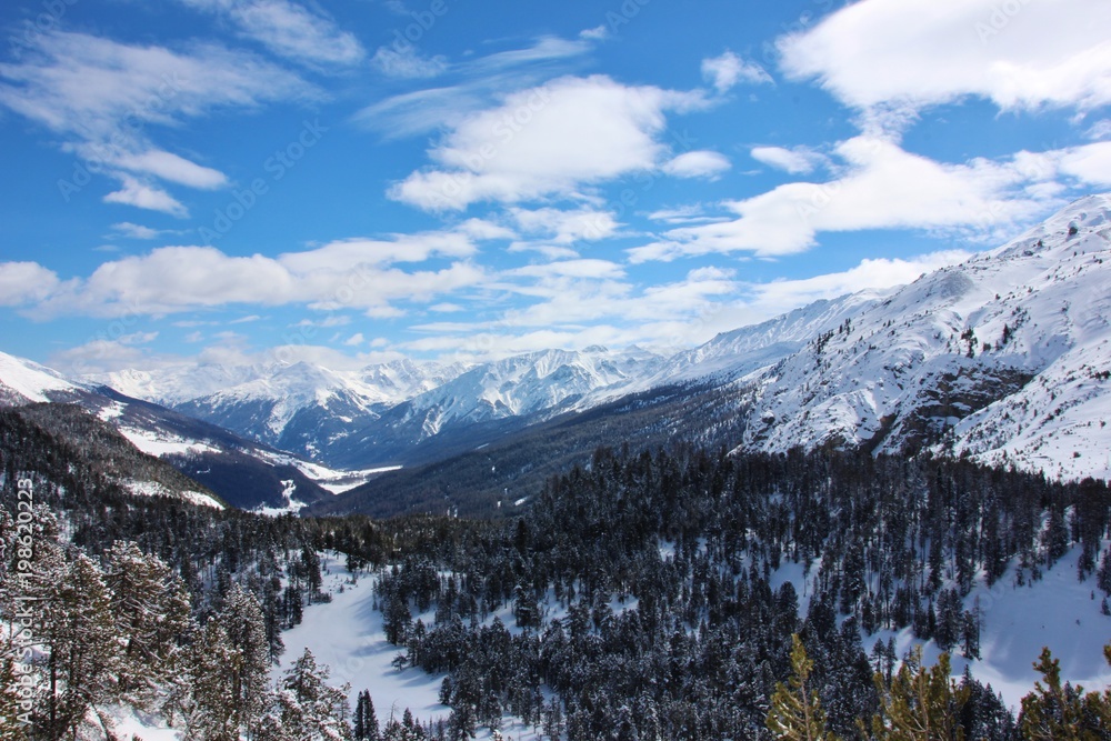 Winter alpine landscape in Val Mustair, Switzerland (Ofenpass)