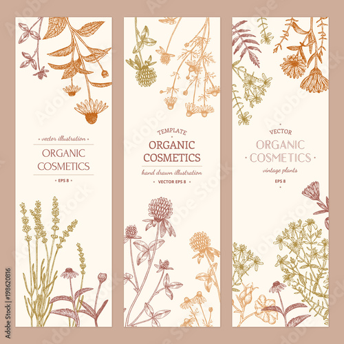 Cosmetics plants.