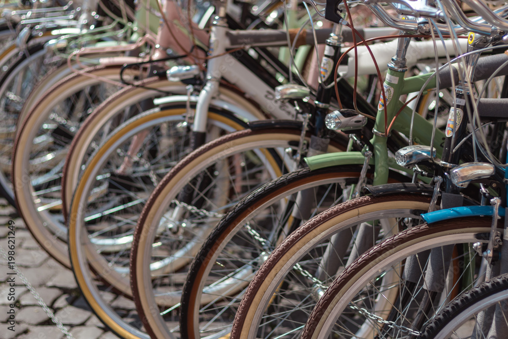 bicycles in a row 