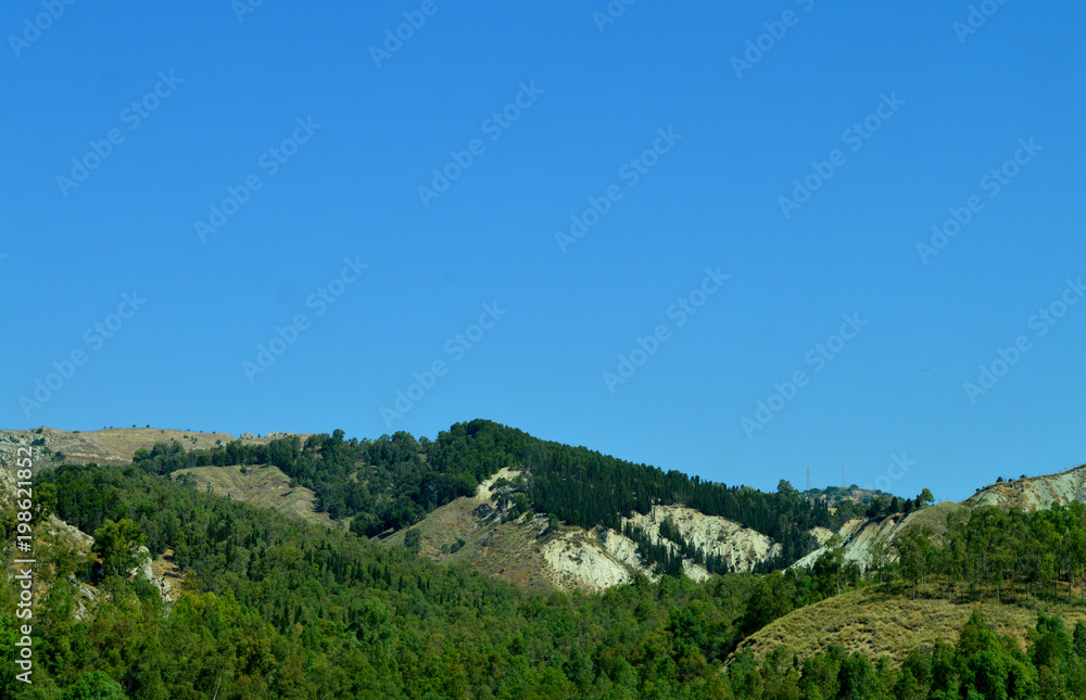 View of a Sicilian Wood, Caltanissetta, Italy