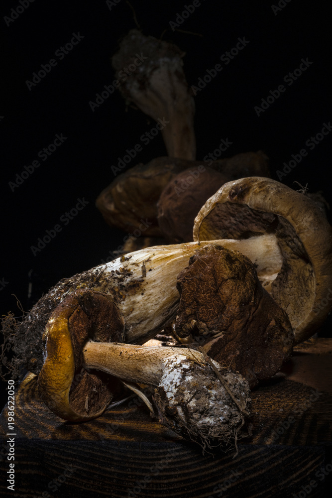 Mushrooms Mushrooms