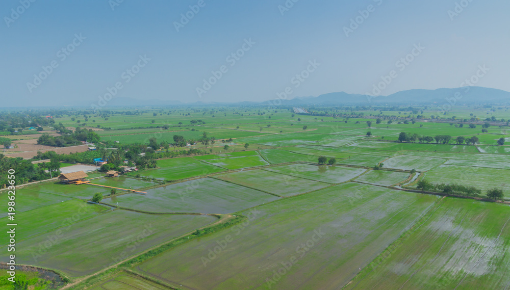 Beautiful rice field on top view in Kanchanaburi Thailand