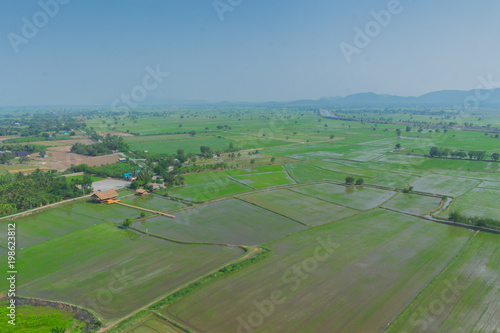 Beautiful rice field on top view in Kanchanaburi Thailand