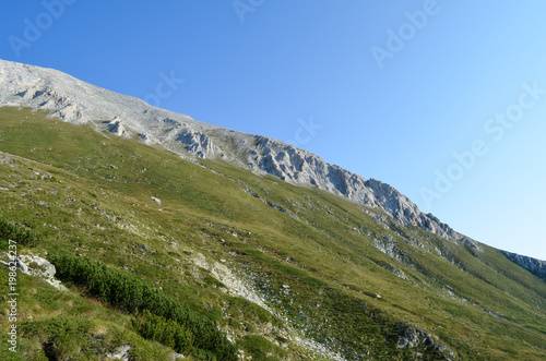 Alps (ID: 198624237)
