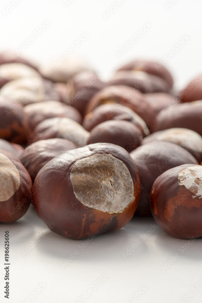 Le marron d'Inde, la graine non comestible du marronnier commun Le marron d'Inde, la graine non comestible du marronnier commun