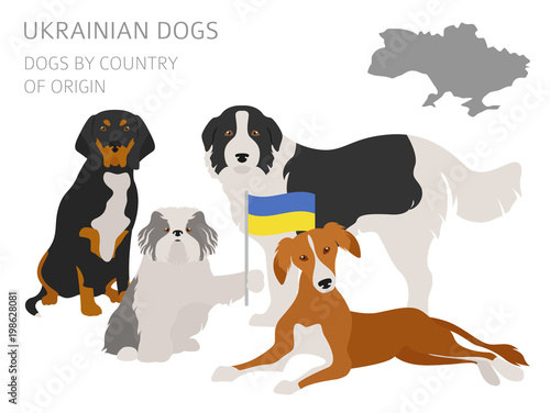 Dogs by country of origin. Ukrainian dog breeds. Infographic template