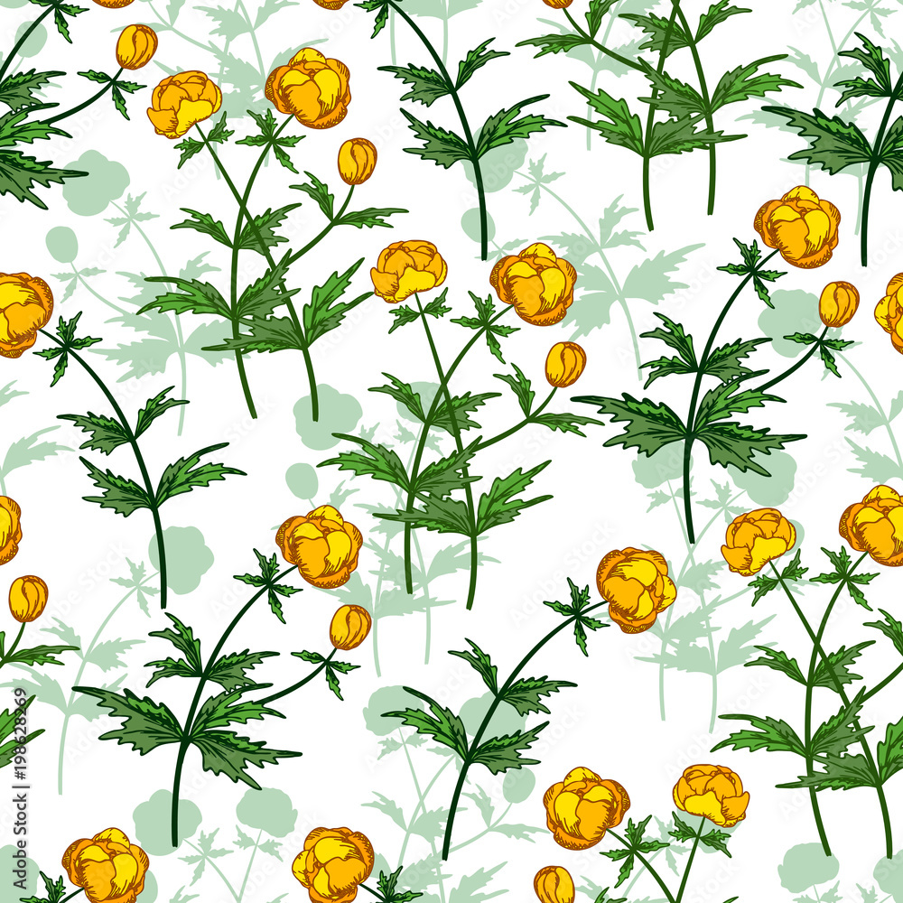 Seamless vector floral pattern. Floral background of yellow buttercups with plant shadows on light background. Seamless vector floral pattern. Floral background of yellow buttercups with plant shadows on light background.