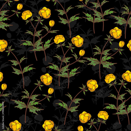 Seamless vector floral pattern. Floral background of yellow buttercups with plant shadows on black background.