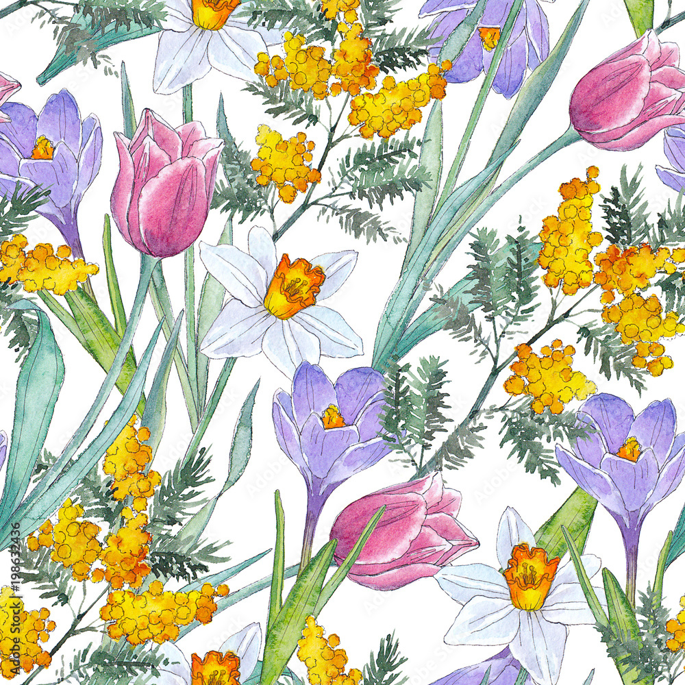 Obraz Akwarela pociągany ręcznie tekstura (wzór) z wiosna kwiatami na białym tle