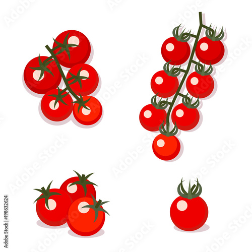 Cherry tomatoes, vector illustration. Flat style.