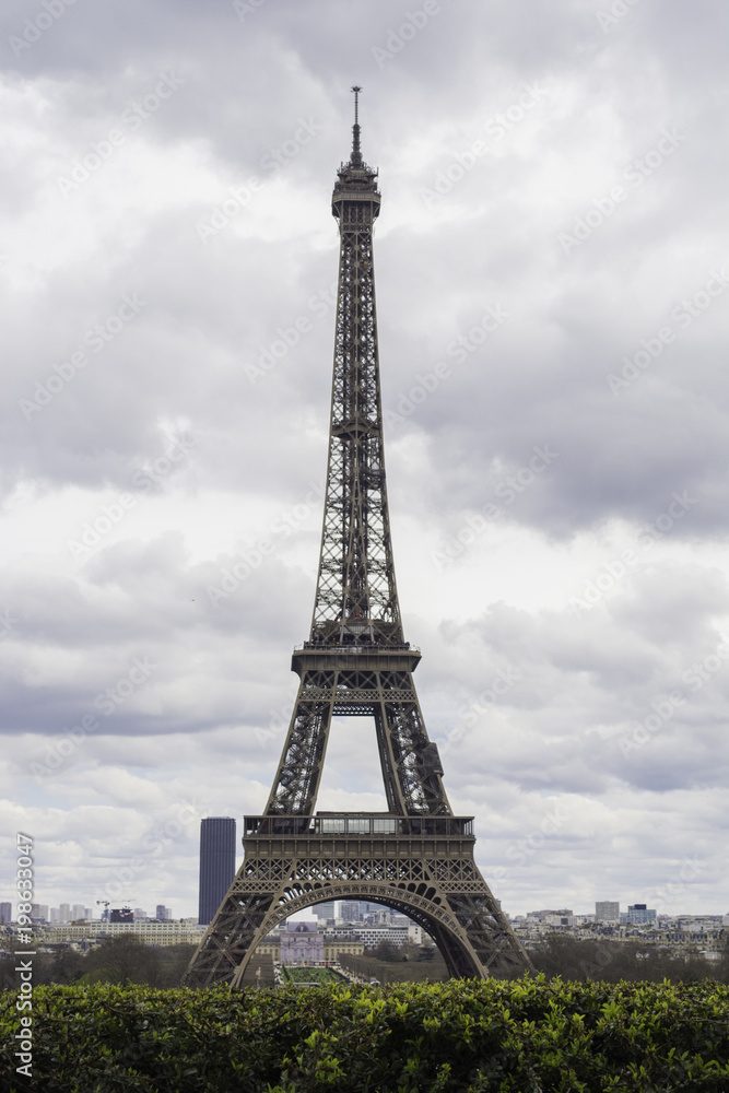 Fototapeta premium The Eiffel Tower, Paris