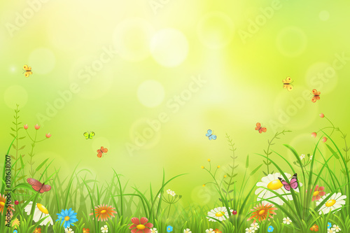 Green meadow background with grass, flowers and butterflies