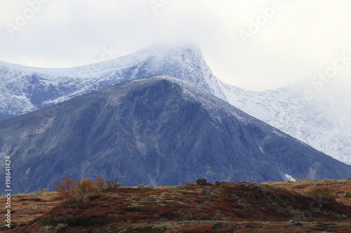 autumn in  Dovrefjell National Park , Norway  photo