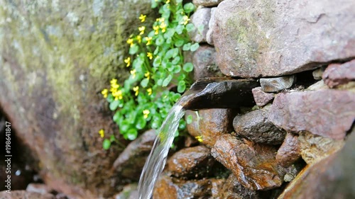 Hand filling a metal cup with water from natural source, outdoors. HD1080p shot with Canon 5DMkII. photo