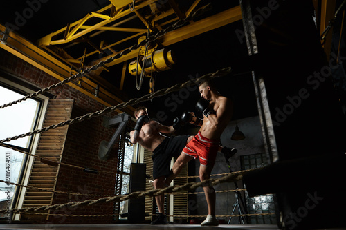 Full length portrait of two male kickboxers sparring inside boxing ring in modern gym: man in black trousers kicking his opponent in red shorts. Training, workout, martial arts and kickboxing concept