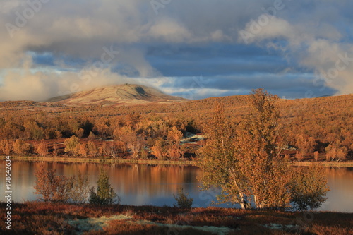 autumn in  Dovrefjell National Park , Norway  photo