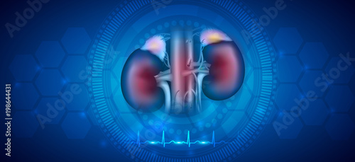 Kidney health care abstract blue background