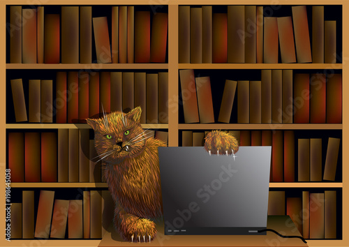 Cat in the library