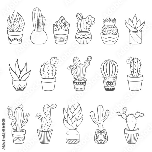 Set of 16 cactuses and succulents in flower pots. Home cactus plants with prickles and flowers. Exotic tropical collection of various succulents
